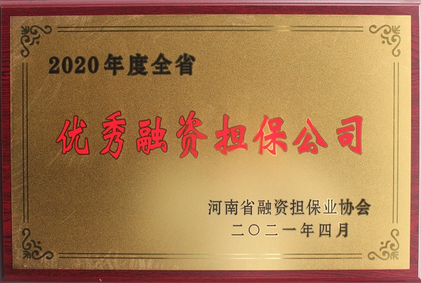 優(yōu)秀融資擔(dān)保模式3.jpg